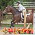 Meridian Horse Show